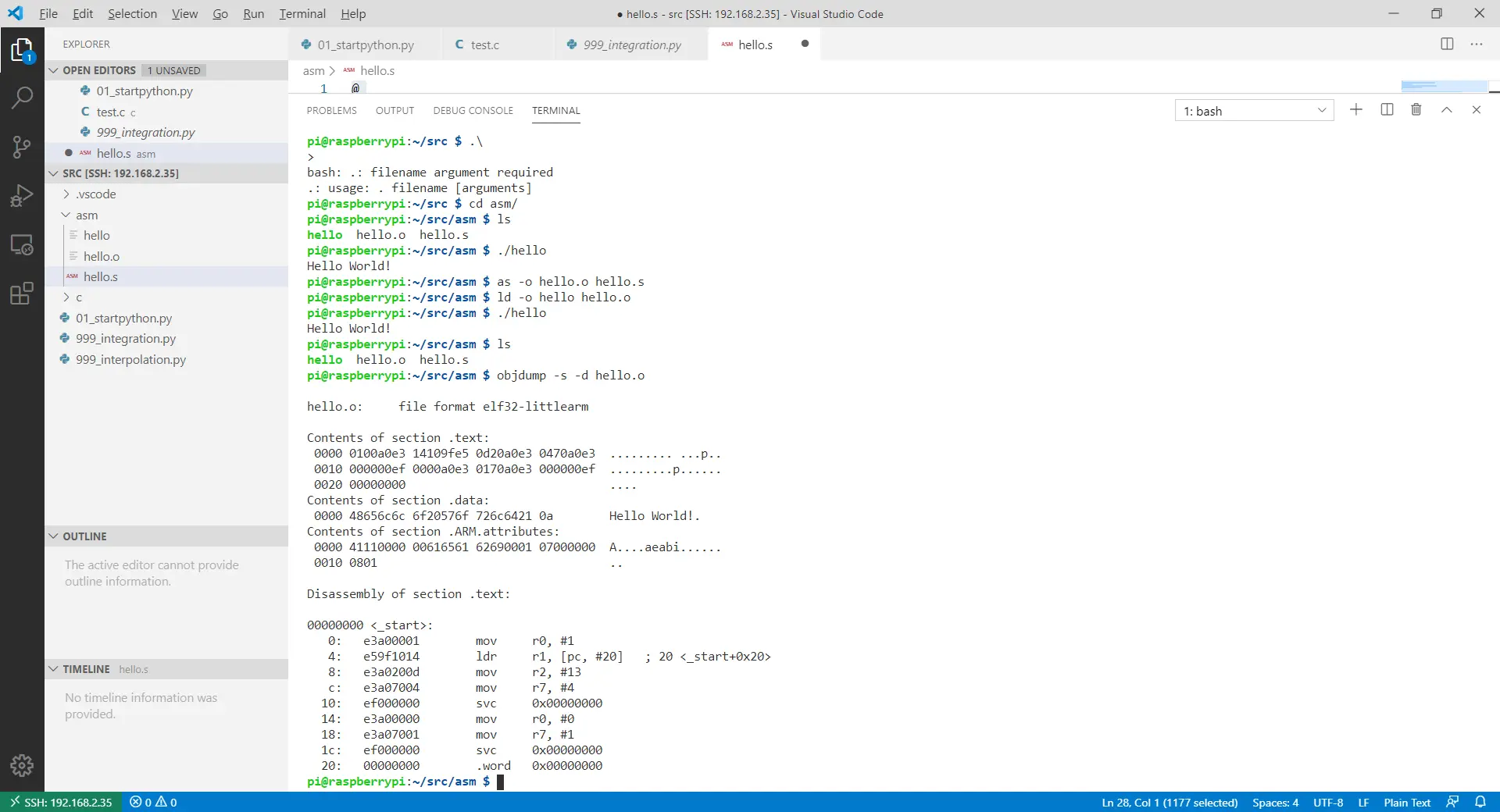 Raspi Asm Code Execute